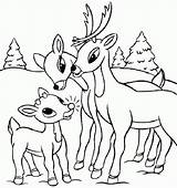 Deer Coloring Pages Baby Cute Kids Printable Whitetail Buck Family Drawings Easy Color Skull Colouring Print Getcolorings Rated Drawing Comments sketch template