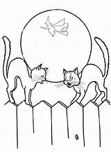 Coloring Pages Cat Cats Two Halloween Tinkerbell Printable Print Getdrawings Color Getcolorings sketch template
