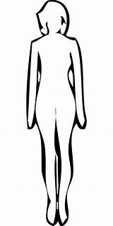 Outline Silhouette Woman Body Female Clip Drawing Clipart Figure Lady Transparent Line Standing Vector Library People sketch template