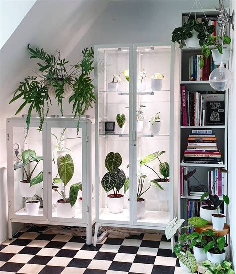 diy greenhouse ikea ikea hack indoor greenhouse apartment therapy