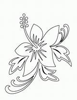 Coloring Flower Hawaiian Pages Popular sketch template