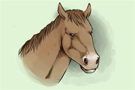ways  draw  horse wikihow