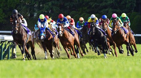 betting  horse racing  complete guide    day trip