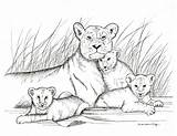 Drawing Lion Baby Lions Mother Drawings Pencil Lioness Print Cubs Etsy Cub Draw Animal Tattoo Her Animals Cute Hippo sketch template