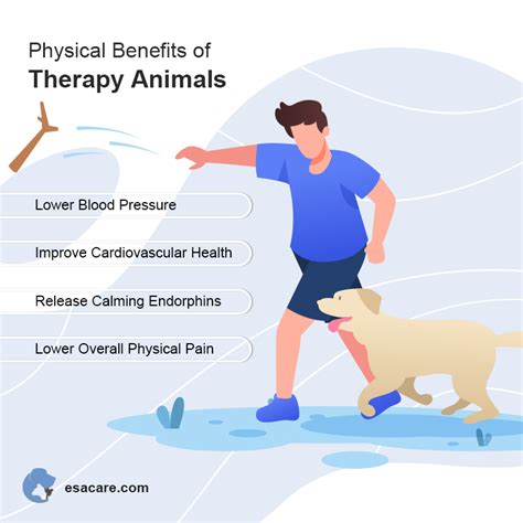 physiological effects  emotional support animal therapy esa care