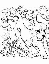 Beagle Coloring Pages sketch template