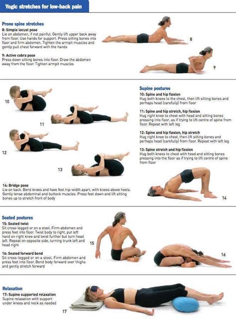 22 Best Lower Back Pain Exercises And Stretches Pictures