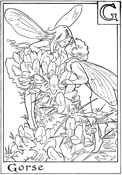 fairy coloring pages fairies  print  color
