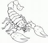 Scorpion Scorpio Skorpion Scorpions Kolorowanki Zeichnen Dzieci Coloringbay Bestcoloringpagesforkids Escorpiones Mortal Dragoart Kombat Library Wydrukowania sketch template