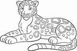 Coloring Jaguar Pages Animal Color Ae Google sketch template