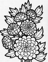 Coloring Peony Flower Flowers Pages Color Printable Netart Getcolorings sketch template