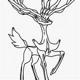 Xerneas Pokemon Coloring Pages Getdrawings sketch template