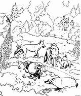 Coloriage Loups Dessin Imprimer Loup sketch template