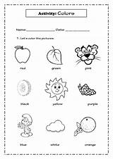 Kindergarten Colors Coloring Pages Worksheets Assessment Kids Colours Students Colour Found Complete sketch template