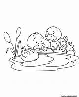 Coloring Duck Printable Baby Pages Childrens Kids Cute Print Children Ducks Animal Colouring Ministry Outline Curriculum Kingdom Fastseoguru Drawings Printables sketch template