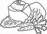 Warzywa Kolorowanki Kapusta Kolorowanka Dzieci Zanahoria Zanahorias Cavolo Zdrowe Colorear Marchewki Druku Malowanki Marchewka Cabbage Verdura Carrots sketch template