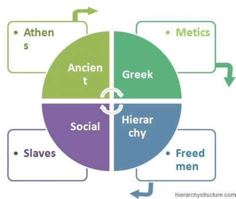 ancient greek social hierarchy chart hierarchy structure