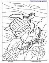 Coloring Pages Sea Turtle Animals Ocean Kids Printable Animal Seashore Sheets Book Colouring Color Books Dibujos Turtles Printables Au Adult sketch template