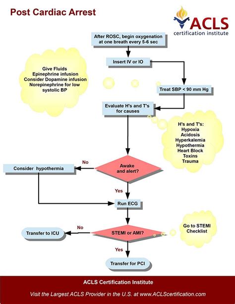 The Adult Immediate Post Cardiac Care Algorithm By The