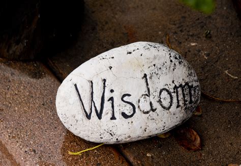 wisdom  stock photo public domain pictures