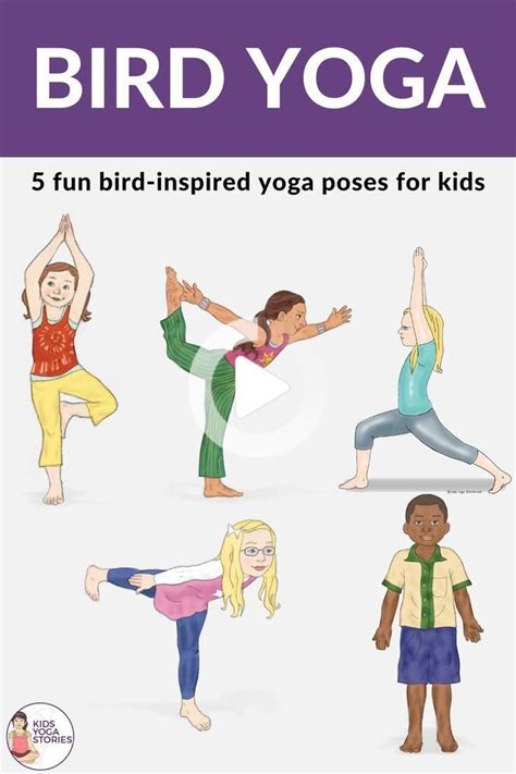 bird yoga decouvrez nos amis  plumes grace au mouvement pose yoga