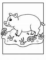 Pig Coloring Pages Kids Printable Pigs Farm Animals Animal Baby Template Colouring Bestcoloringpagesforkids Sheets Cute Cartoon Valentine Printables Print Jr sketch template