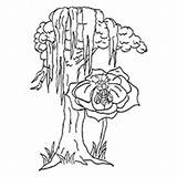 Tree Coloring Pages Maple Syrup Little Fig Cypress Ones Bald Getdrawings Color Getcolorings Printable Print African Colorings Apple sketch template