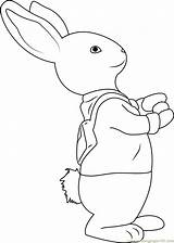 Rabbit Conejo Coloringpages101 sketch template