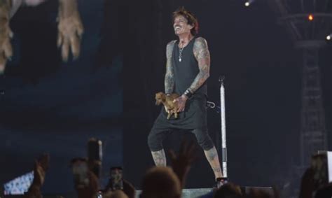 Watch Tommy Lee Pulls Out His Wiener Onstage During MÖtley CrÜe S