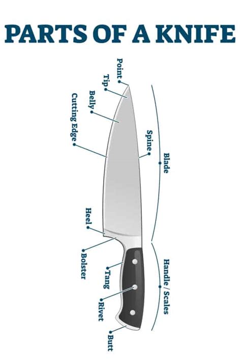 parts   knife parts knife anatomy   september