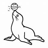 Seal Coloring Clipart Clip Colouring Pages Sea Ball Vector Kids Cliparts Nose Cute Cartoon Vectorized Printable Animals Lion Circus Line sketch template
