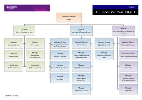 organization chart organization chart library organization library