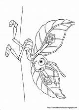 Coloring Pages Life Bug Printable Sheets Bugslife Educationalcoloringpages Print sketch template