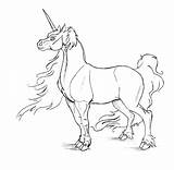 Male Unicorn Coloring Pages Horse Getcolorings Anycoloring sketch template