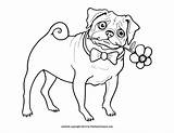 Pug Coloring Pages Printable Pugs Kids Dog Color Cute Sheets Cartoon Baby Colouring Print Puppy Drawing Size Octopus Visit Puppies sketch template