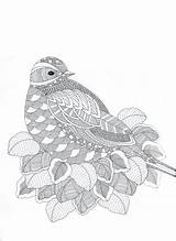 Zentangle Fantastiques Abstract Doodle Ausmalen Colouring Zen Kleurplaten Erwachsene Oiseau Fantastique Pigeon Coloriages Vogel Desenho Volwassenen sketch template