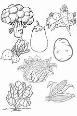 Verduras Frutas Legumes Alimentos Vegetable Povrce Saludables Busy Martinho Pesquisa με Activities Verdura Coloringcity Escolha Receita αποθηκεύτηκε από sketch template