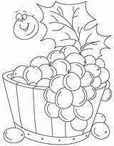 Coloring Grapes Pages Grape Kids Printable Color Tub Vine Drawing Sheets Clipart Fruits Colouring Books Worksheets Crafts Wine Template Poster sketch template