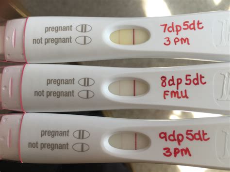 First Response Early Detection Positive Pregnancy Test
