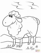 Sheep Coloring Cartoon Cute Pages Lamb Drawing Printable Getdrawings Simple Crafts Template Through Categories sketch template