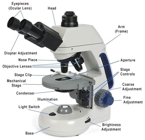 parts   compound microscope microscope club