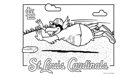 fredbird activities st louis cardinals coloring home