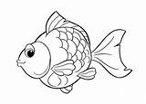 Pesci Conosciamo Pesce Uffolo Pesciolino Stampare Arcobaleno Coloriamo sketch template