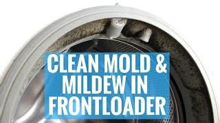 clean clothes  mold howto disinfect