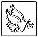 Pacii Porumbelul Colorat Simbol Planse Pace Lui Noe Universdecopil sketch template