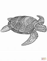 Coloring Zentangle Turtle Pages Sea Printable Drawing sketch template