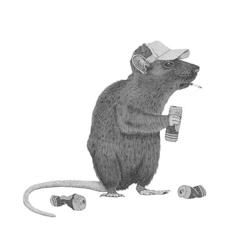 rat drawingpen  drawing rat drawings art
