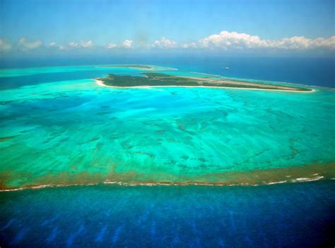 obama  create worlds largest marine reserve  hawaii   york times