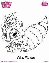 Windflower Whisker Skgaleana Dibujalandia Malvorlagen Galery Mascotas sketch template