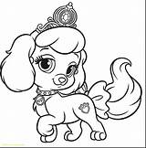 Pet Shop Coloring Pages Littlest Zoe Lps Getcolorings Horse Color Bunny Printable sketch template